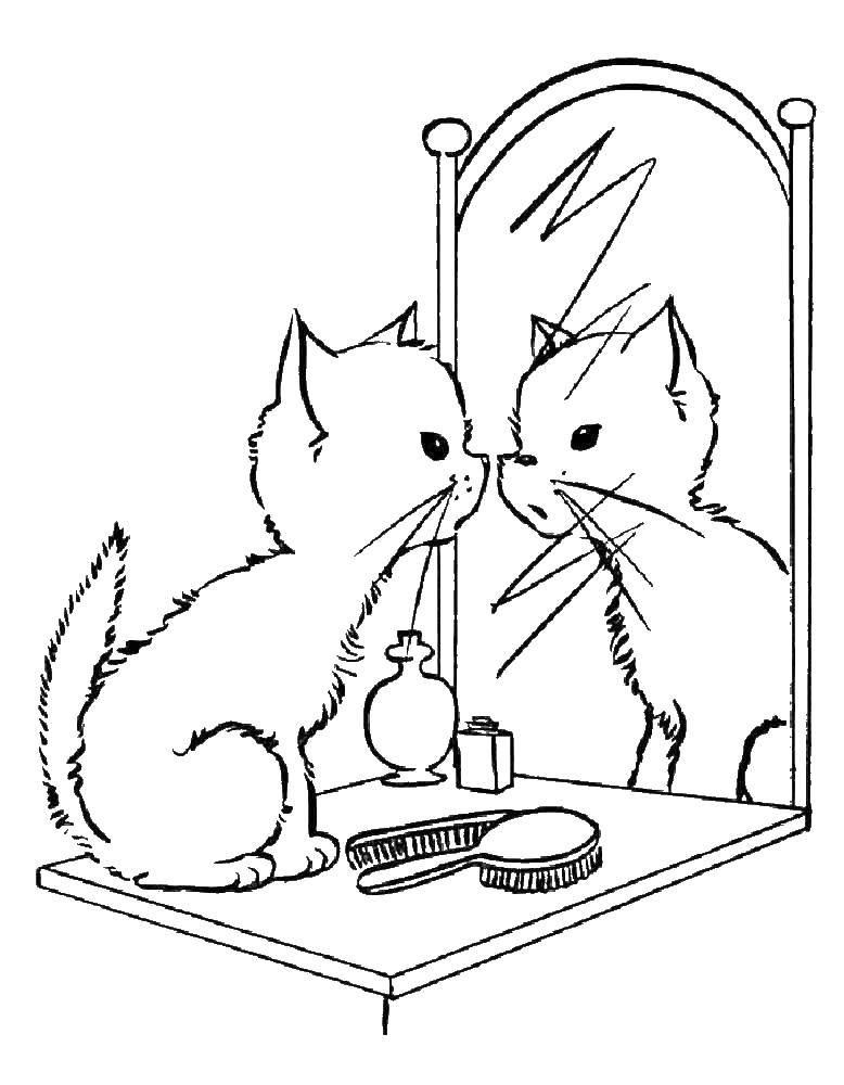 Название: Раскраска Кошка смотрит в зеркало. Категория: Кошка. Теги: кошка, кот.