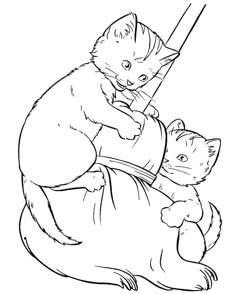 Название: Раскраска Котята играют с метлой. Категория: Кошка. Теги: кошка, котята.
