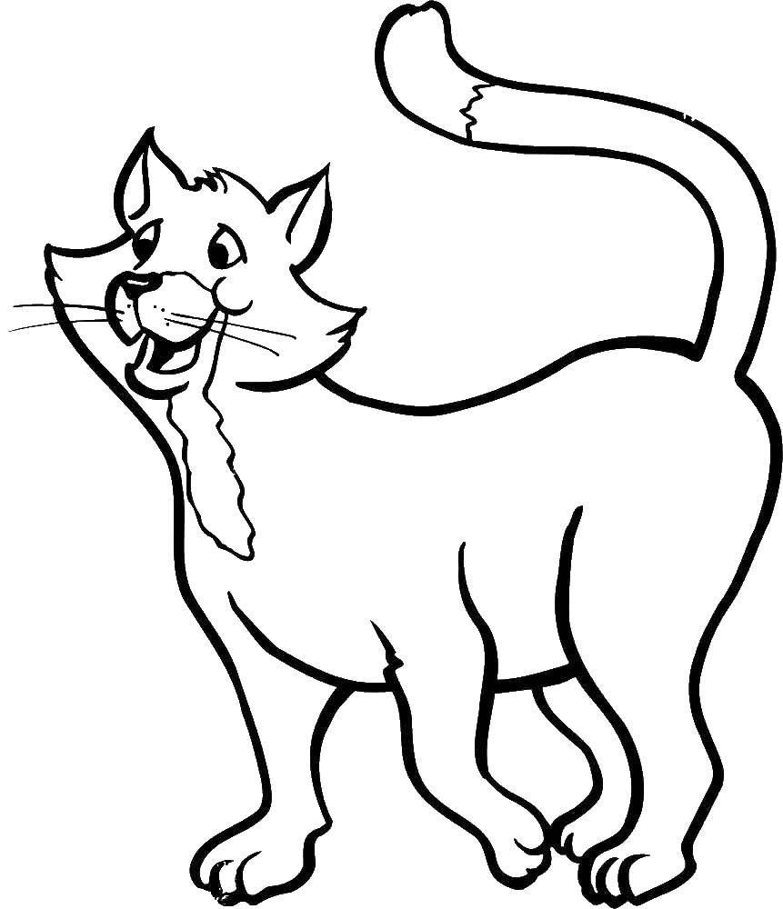 Название: Раскраска Томас о’мэйли. Категория: коты аристократы. Теги: Томас О’Мэйли, коты аристократы.