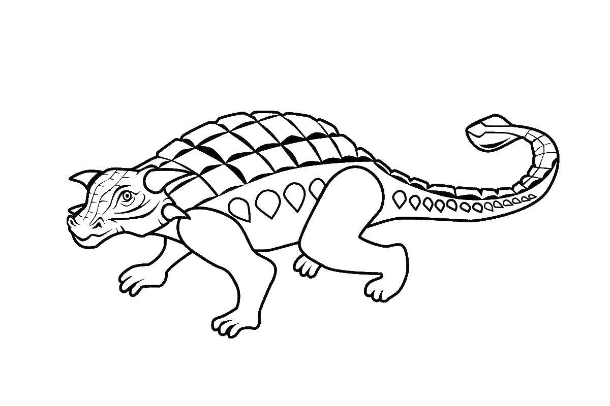 Coloring Anoplocephala. Category dinosaur. Tags:  Dinosaur.