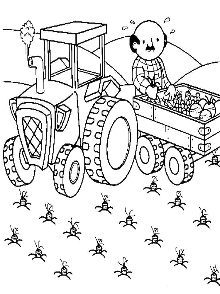 Название: Раскраска Тракторист на тракторе собирает урожай. Категория: трактор. Теги: тракторист, тракторе.