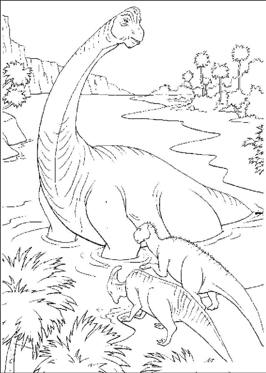 Название: Раскраска Травоядный динозавр. Категория: динозавр. Теги: Динозавр.