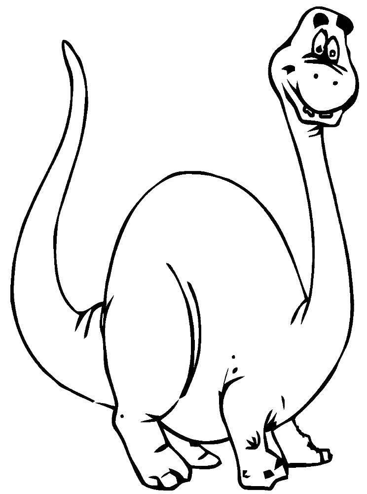 Название: Раскраска Динозавр. Категория: динозавр. Теги: динозавр.