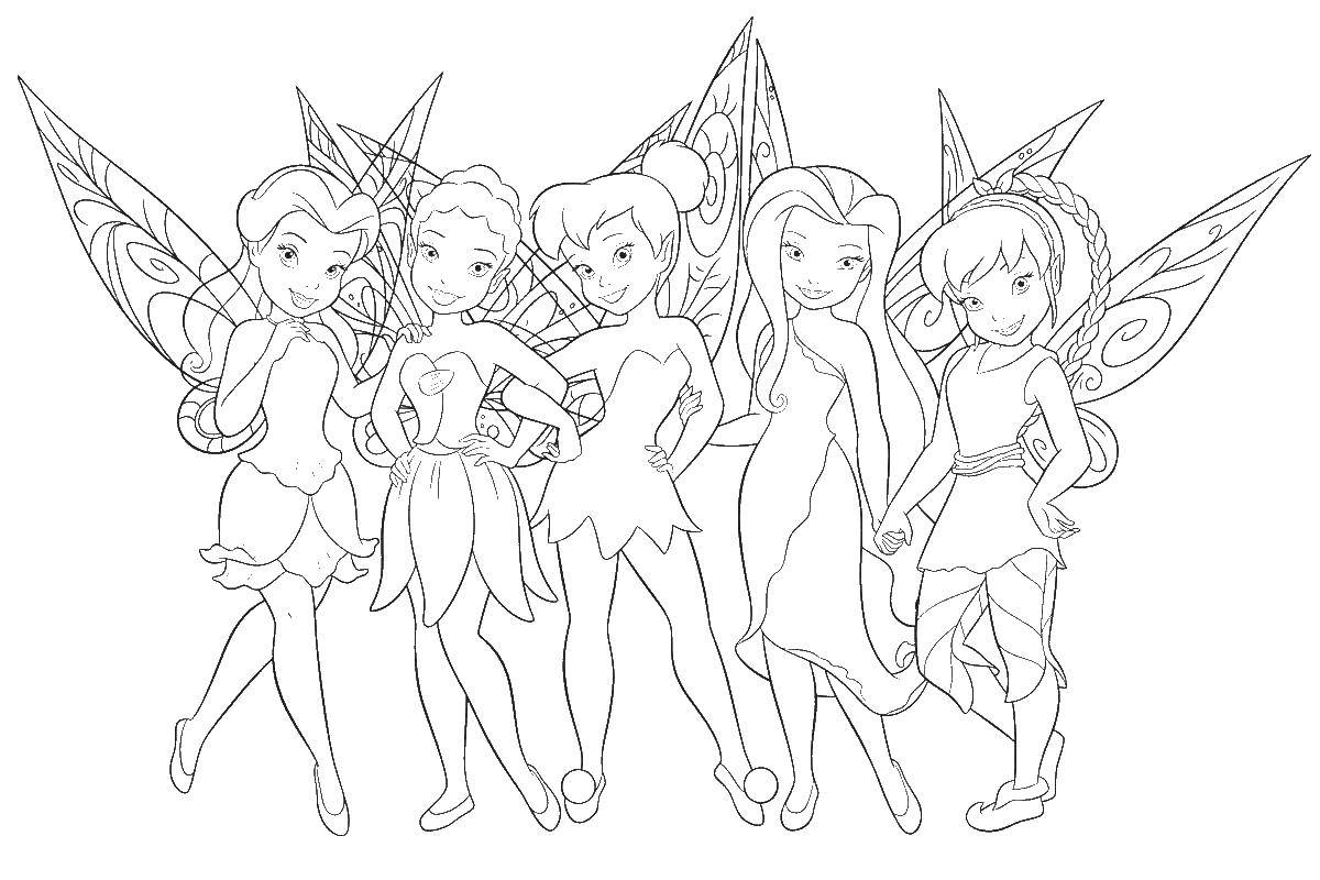 Coloring Tinker bell and her friends fairies. Category fairy. Tags:  fairy, Tinker bell, vidia.