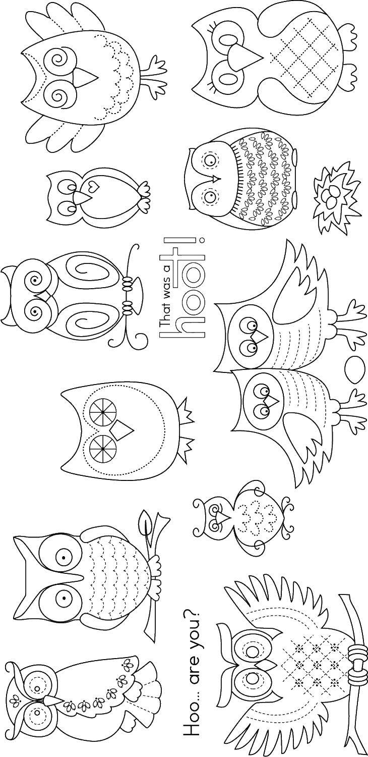 Coloring Owls. Category patterns, ornament stencils flowers. Tags:  owls.