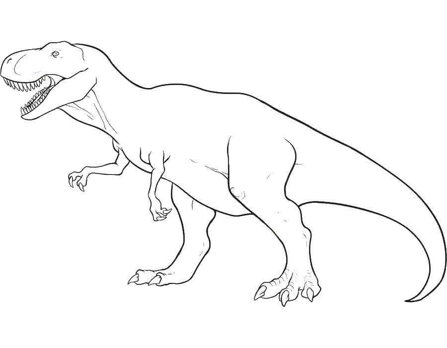 Название: Раскраска Тираннозавр рекс. Категория: динозавр. Теги: Динозавр.