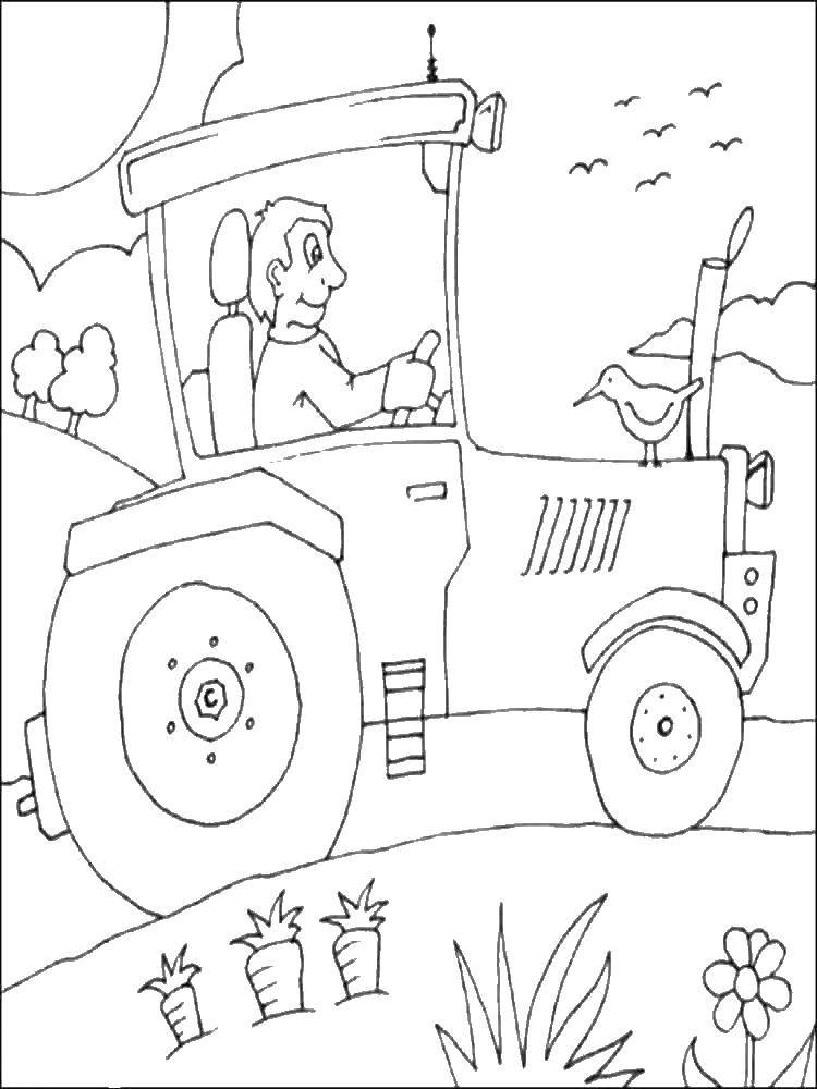 Название: Раскраска Тракторист на тракторе. Категория: трактор. Теги: тракторист, тракторе.