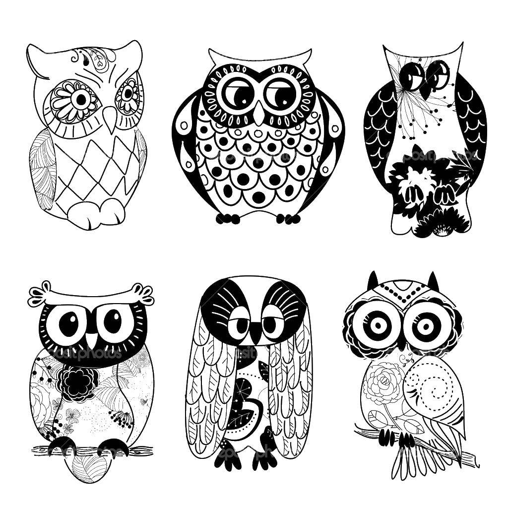 Coloring Owls. Category patterns, ornament stencils flowers. Tags:  owls.
