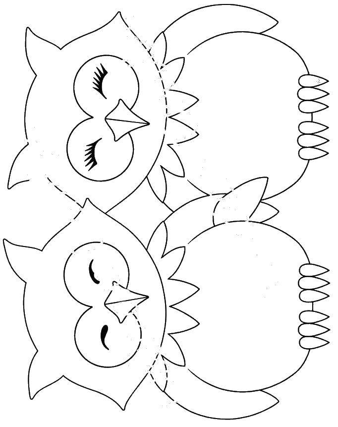 Coloring Owls. Category birds. Tags:  owl.