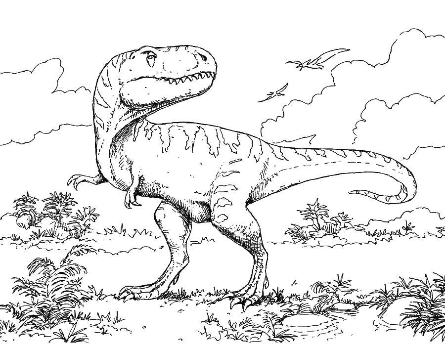 Название: Раскраска Тираннозавр рекс. Категория: динозавр. Теги: Динозавр.