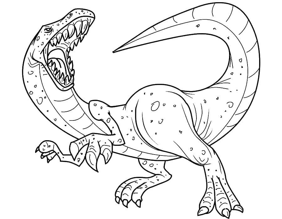 Coloring The angry dinosaur. Category dinosaur. Tags:  Dinosaur.