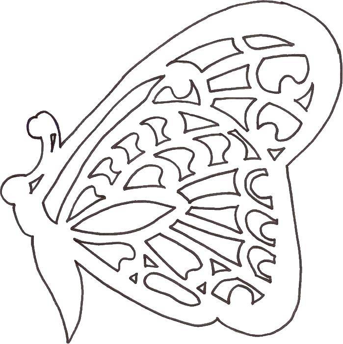 Coloring Butterfly. Category pattern ornament stencil. Tags:  butterflies.
