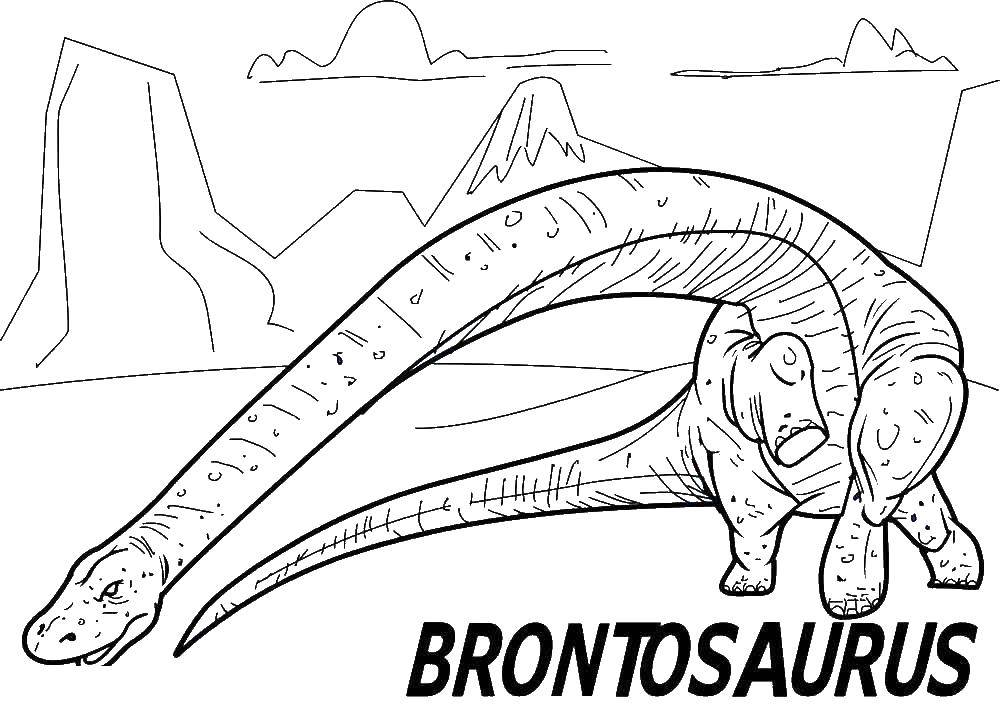 Название: Раскраска Бронтозавр. Категория: динозавр. Теги: Динозавр.