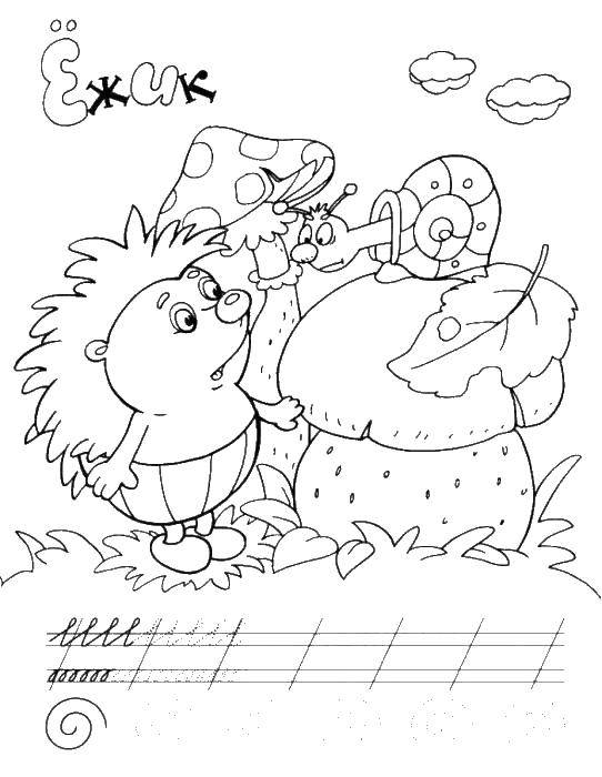 Coloring The hedgehog looks at the snail. Category recipe. Tags:  tracing.