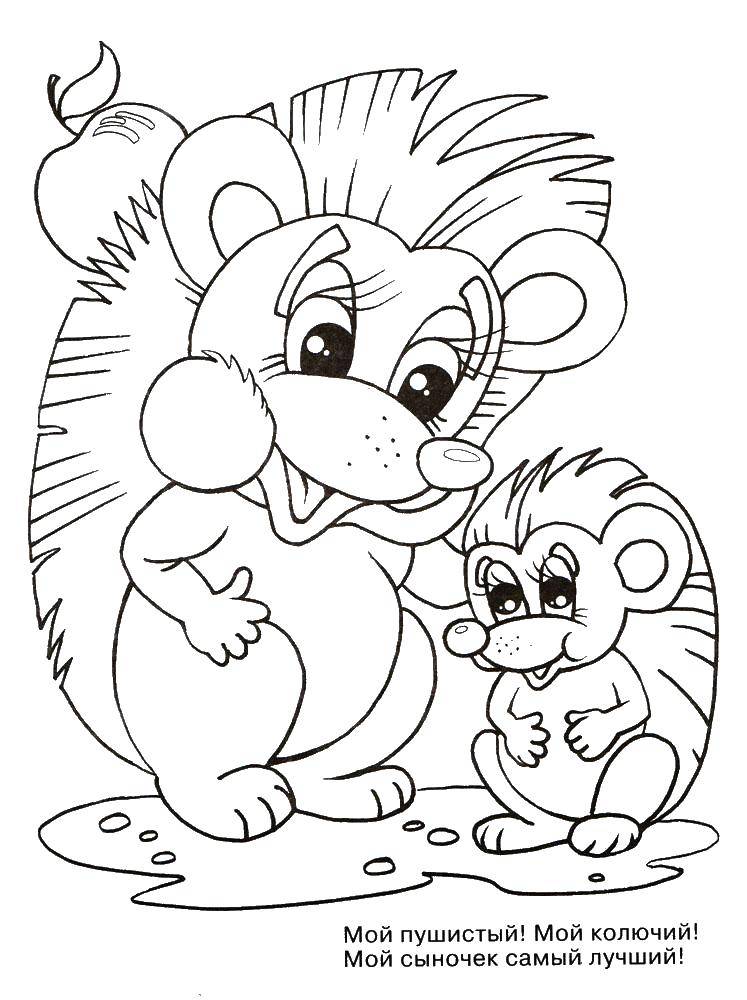 Coloring Hedgehogs. Category little animals. Tags:  hedgehogs.