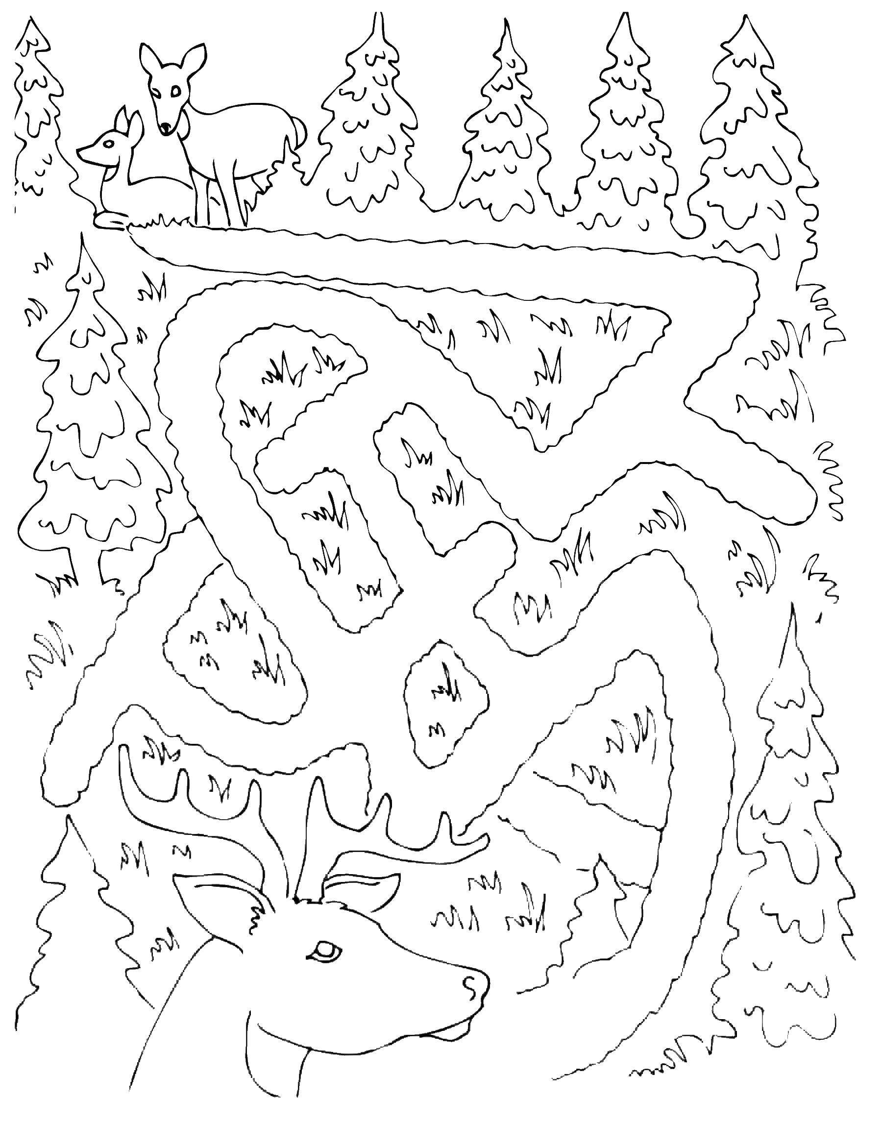 Coloring Deer looking for family. Category Mazes. Tags:  the labyrinth, the deer.