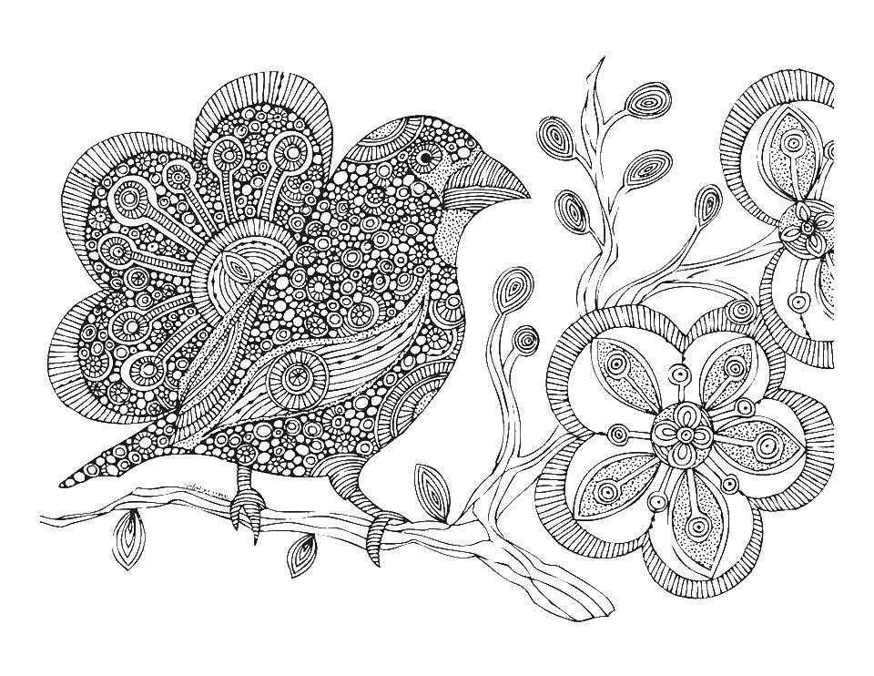 Coloring Bird on a branch. Category coloring antistress. Tags:  flowers coloring antistress.