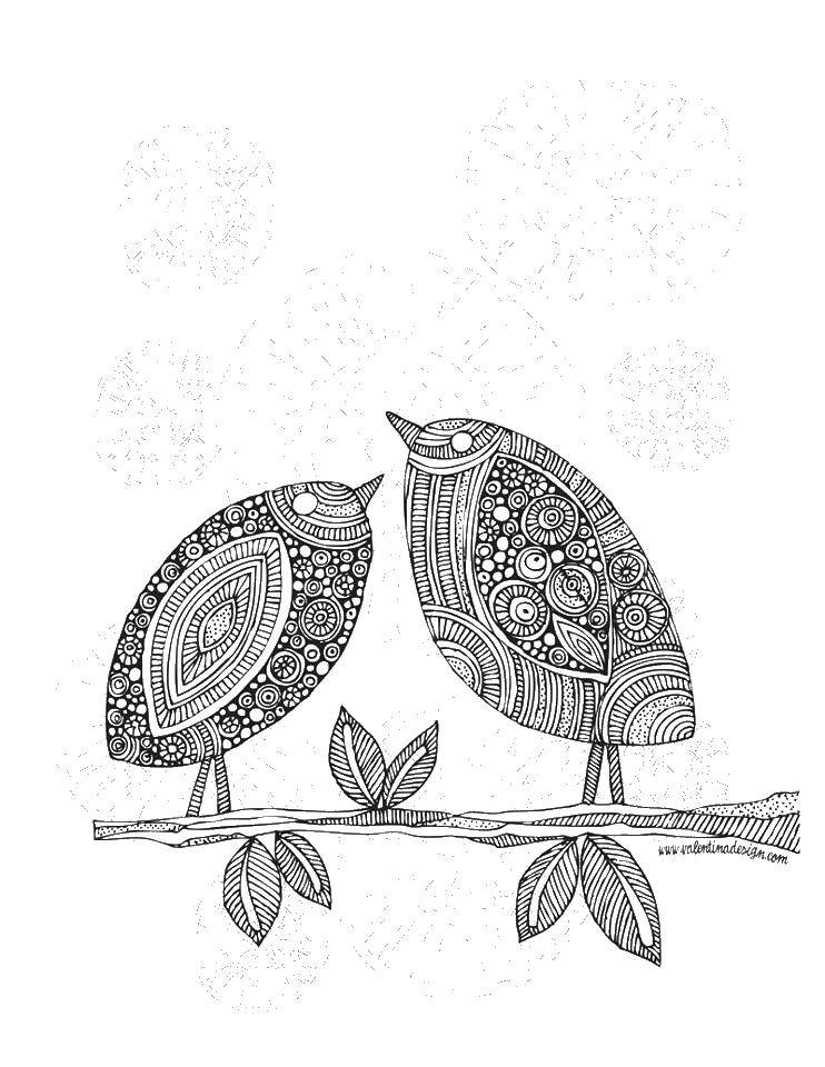 Coloring Birds on a branch. Category coloring antistress. Tags:  birds coloring antistress.