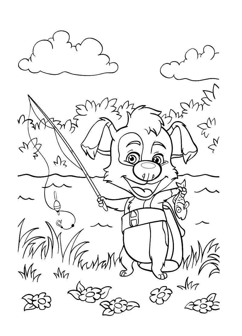 Coloring Dog fishing. Category Animals. Tags:  animals, dog, fishing.