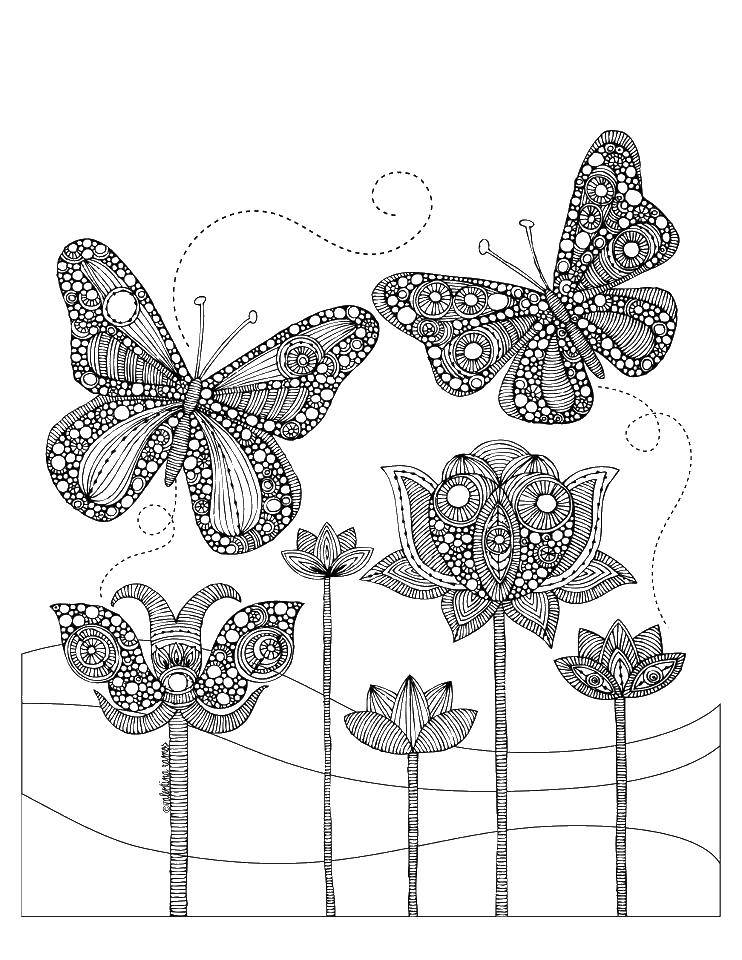 Название: Раскраска Бабочки на цветах. Категория: раскраски антистресс. Теги: бабочки, антистресс.