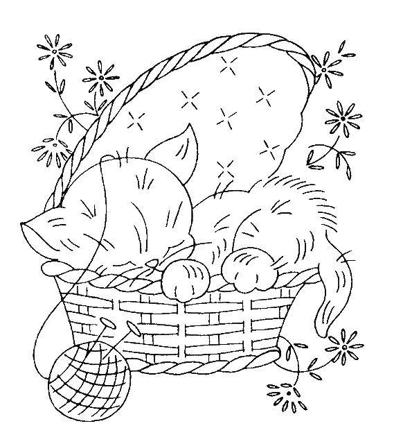 Название: Раскраска Кошечка спит в корзине. Категория: Кошка. Теги: кошка, корзина.