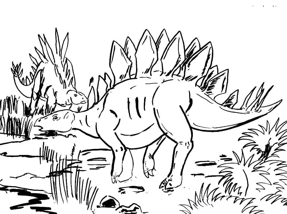 Coloring Leprecon. Category dinosaur. Tags:  Dinosaur.