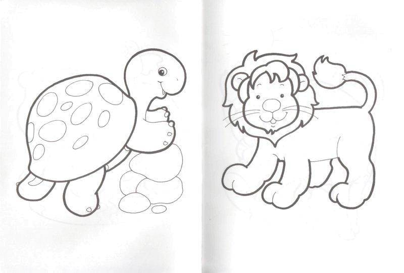 Coloring The lion and the turtle. Category little animals. Tags:  lion, turtle, animals.