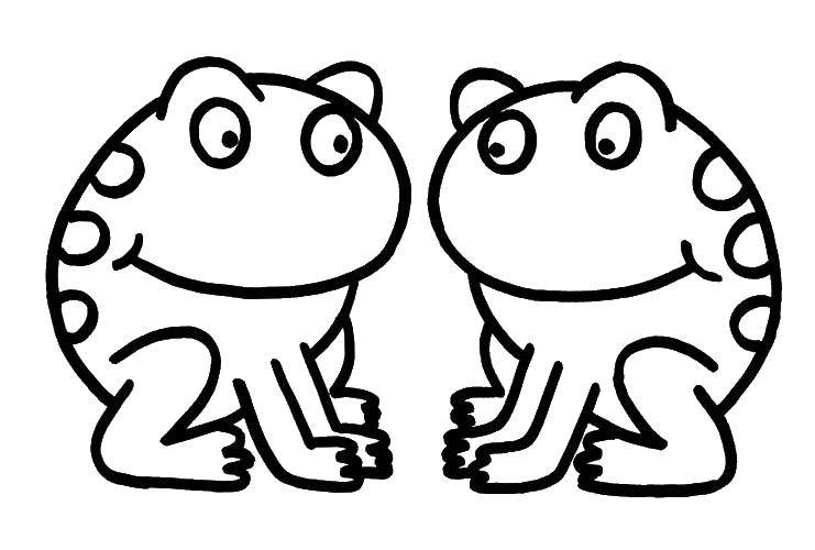 Coloring Frogs. Category little animals. Tags:  the frog.