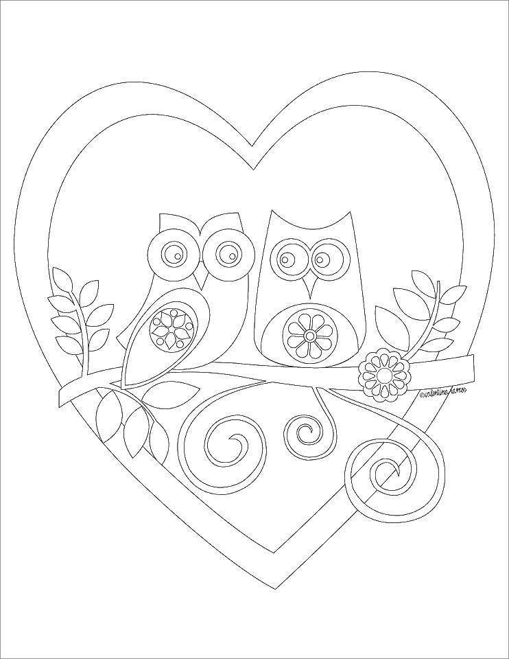 Coloring Owls. Category birds. Tags:  the owl, sitting, branch.