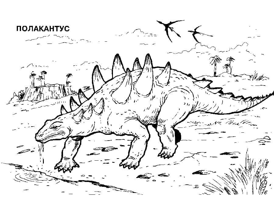 Название: Раскраска Полакантус. Категория: динозавр. Теги: Динозавр.
