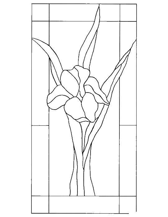 Coloring Narcissi. Category stained glass. Tags:  vitari, flowers.