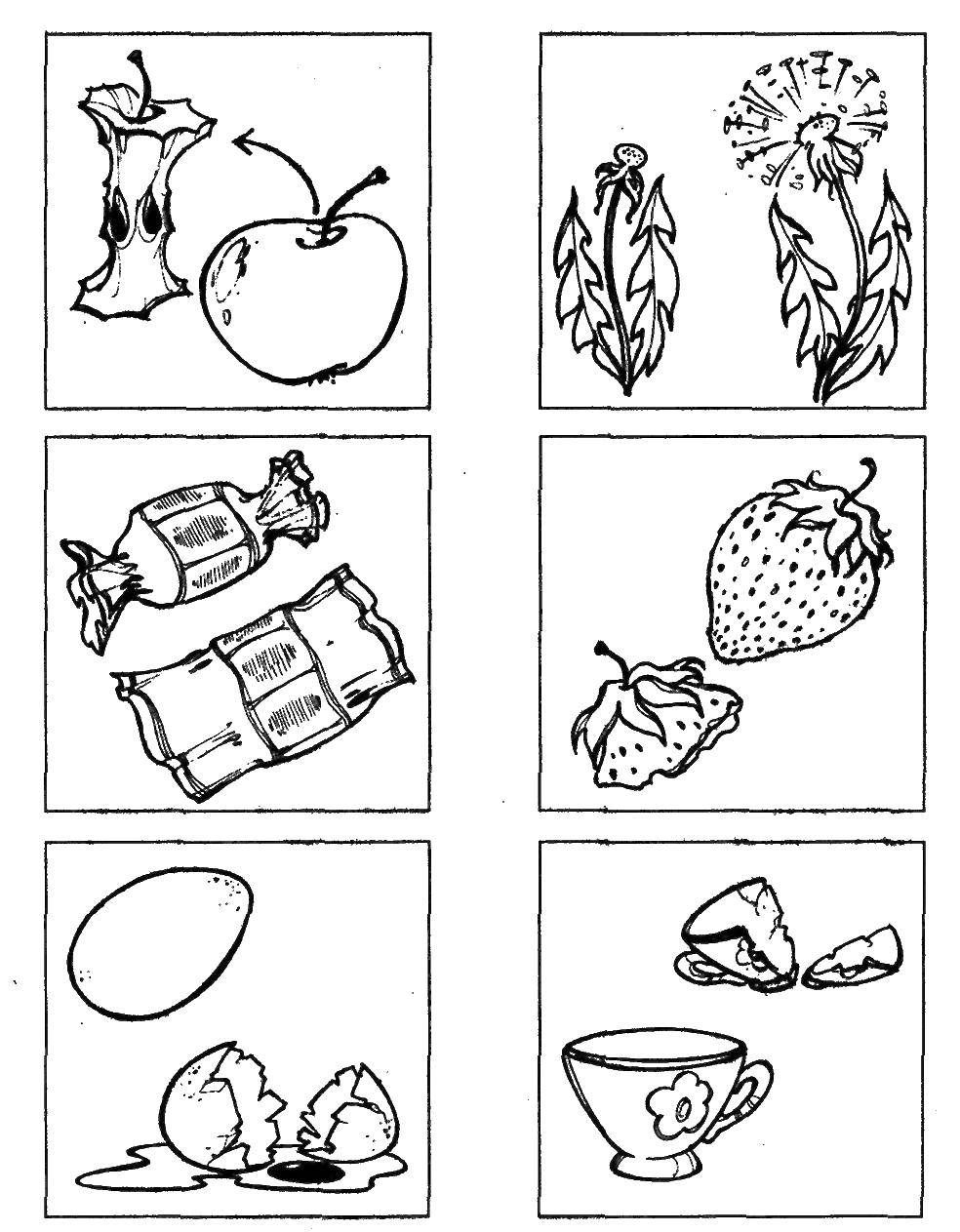 Coloring Items. Category the objects. Tags:  the items, found objects, image.