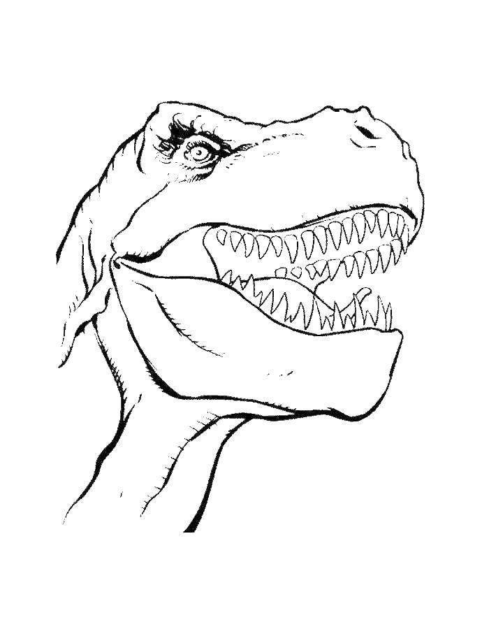 Coloring Tyrannosaurus Rex. Category dinosaur. Tags:  Dinosaur.