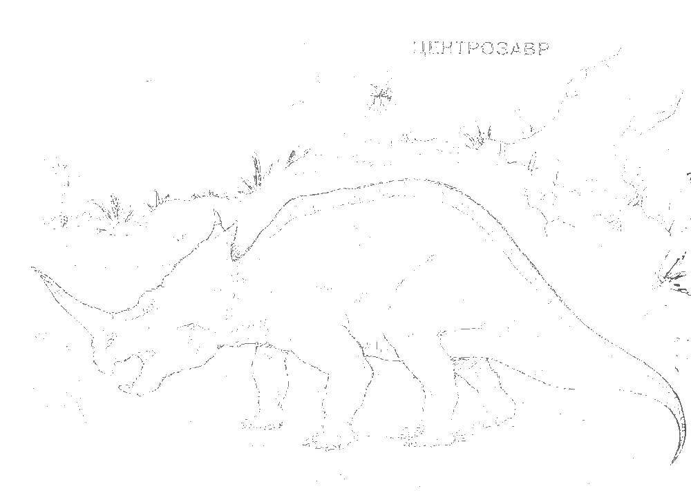 Coloring Centrosaur. Category dinosaur. Tags:  Dinosaur.