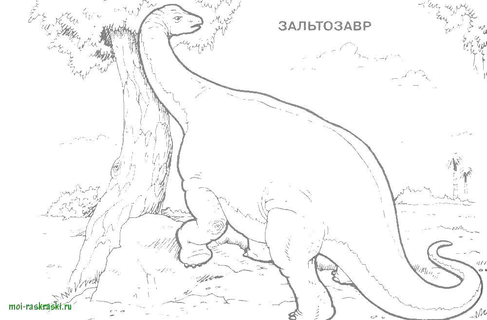 Название: Раскраска Зальтозавр. Категория: динозавр. Теги: Динозавр.