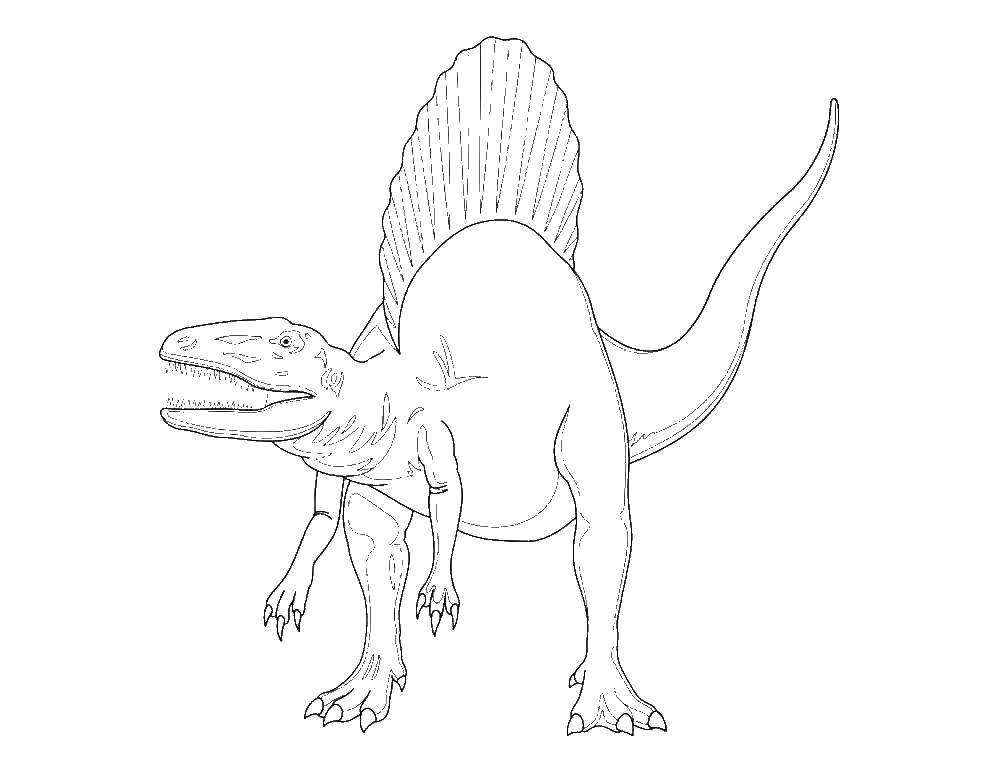 Coloring Spinosaurus. Category dinosaur. Tags:  Dinosaur.