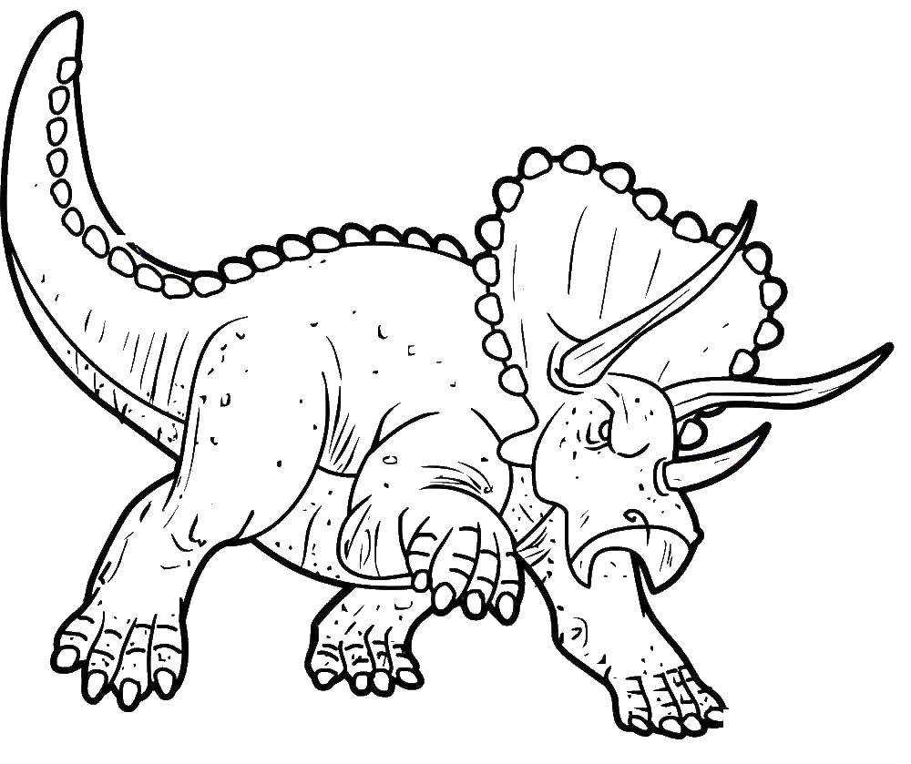 Название: Раскраска Трицераптос. Категория: динозавр. Теги: Динозавр.