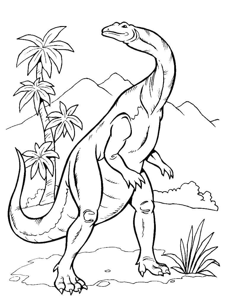 Coloring Dinosaur. Category dinosaur. Tags:  Dinosaur.