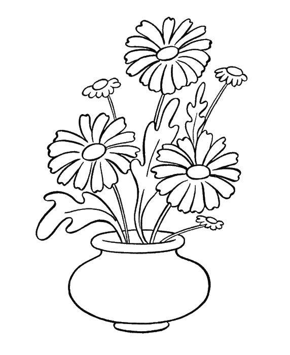 Coloring Flowers in a vase. Category coloring. Tags:  flowers, plants, buds, petals, vase.