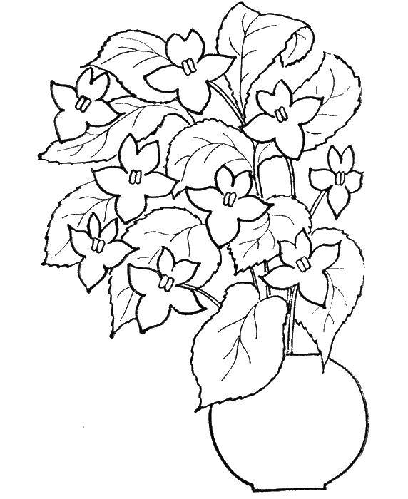 Название: Раскраска Ваза с цветами. Категория: раскраски. Теги: цветы, растения, бутоны, лепестки, ваза.