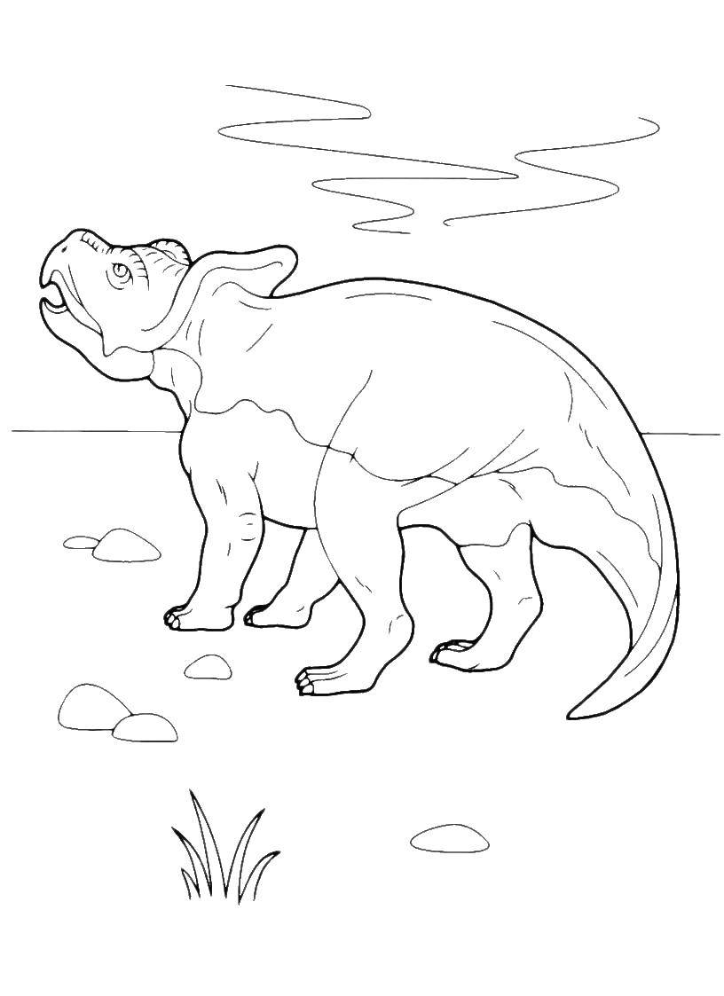 Coloring Dinosaur. Category dinosaur. Tags:  Dinosaur.