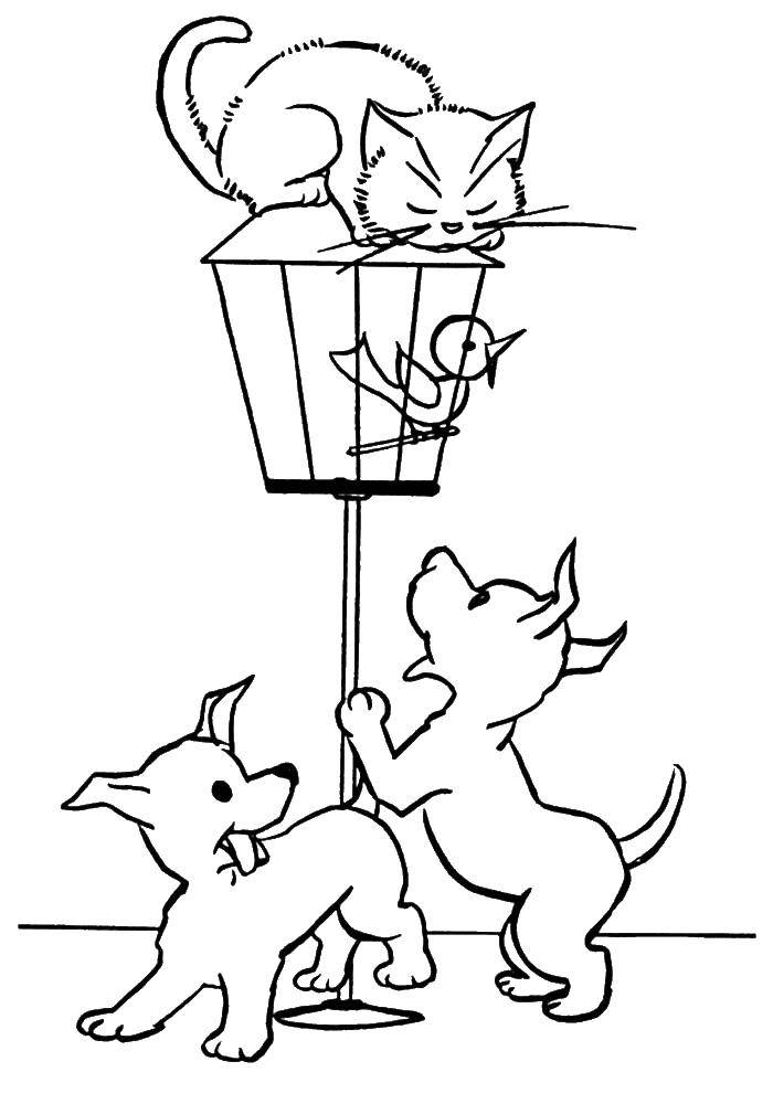 Розмальовки  Кіт ловить птаха і два цуценя йому допомагають. Завантажити розмальовку кіт, пташка, щеня.  Роздрукувати ,кошенята і цуценята,