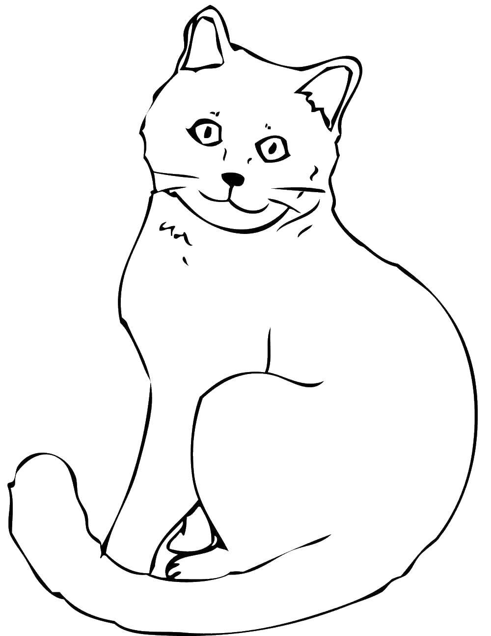 Coloring The outline of the cat. Category kittens and puppies. Tags:  the cat.