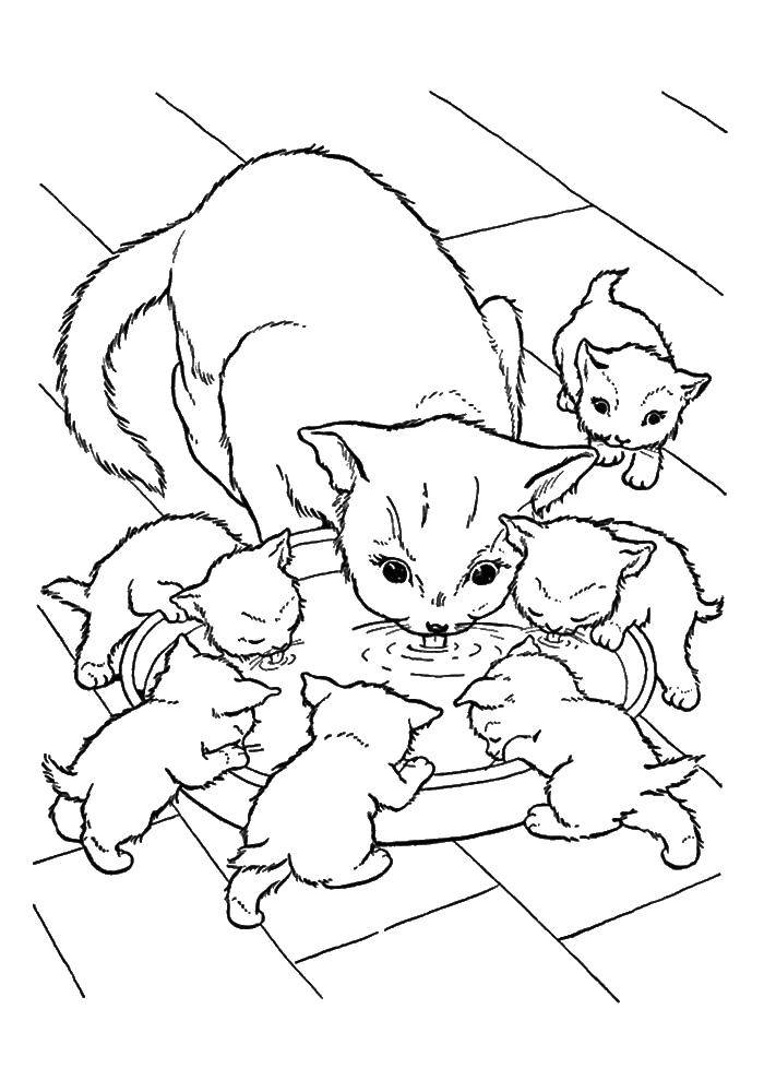 Название: Раскраска Кошечка с котятами. Категория: котята и щенки. Теги: кошка, котята.