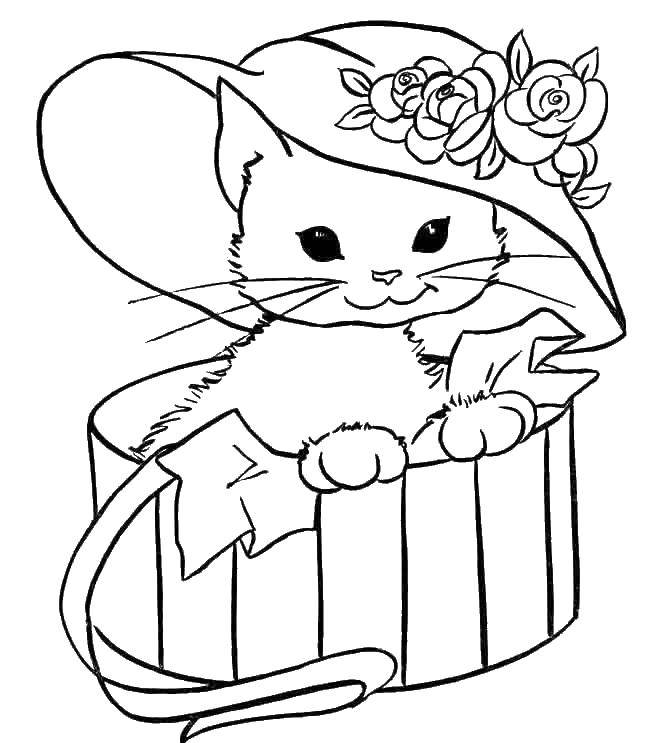 Название: Раскраска Кошечка в шляпе. Категория: Коты и котята. Теги: кошечка, шляпа.