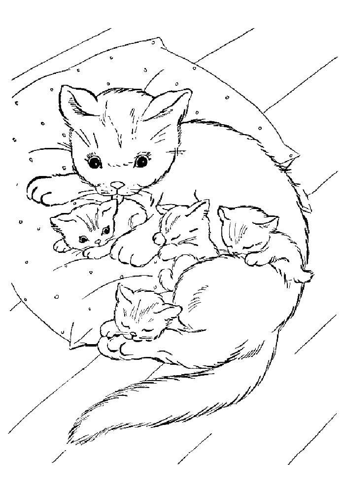 Название: Раскраска Кошка с котятами отдыхают. Категория: котята и щенки. Теги: кошка, котята.