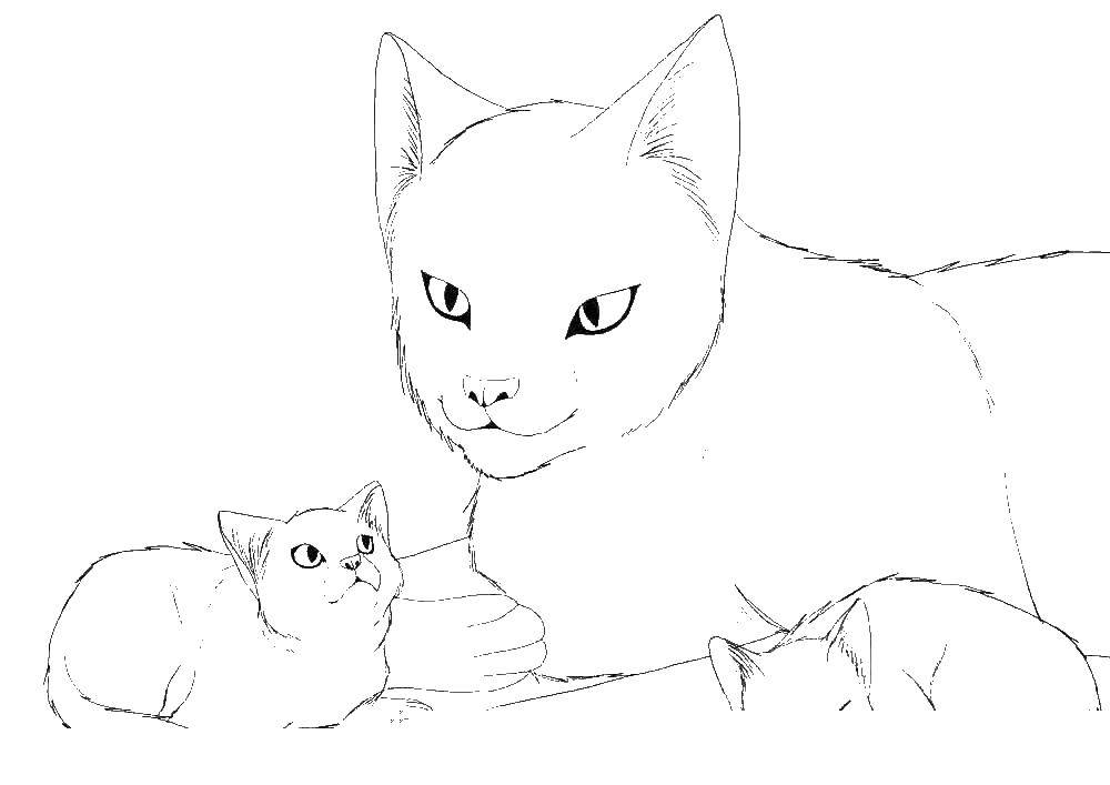 Название: Раскраска Кошка с котятами. Категория: милые животные. Теги: кошка, котята.