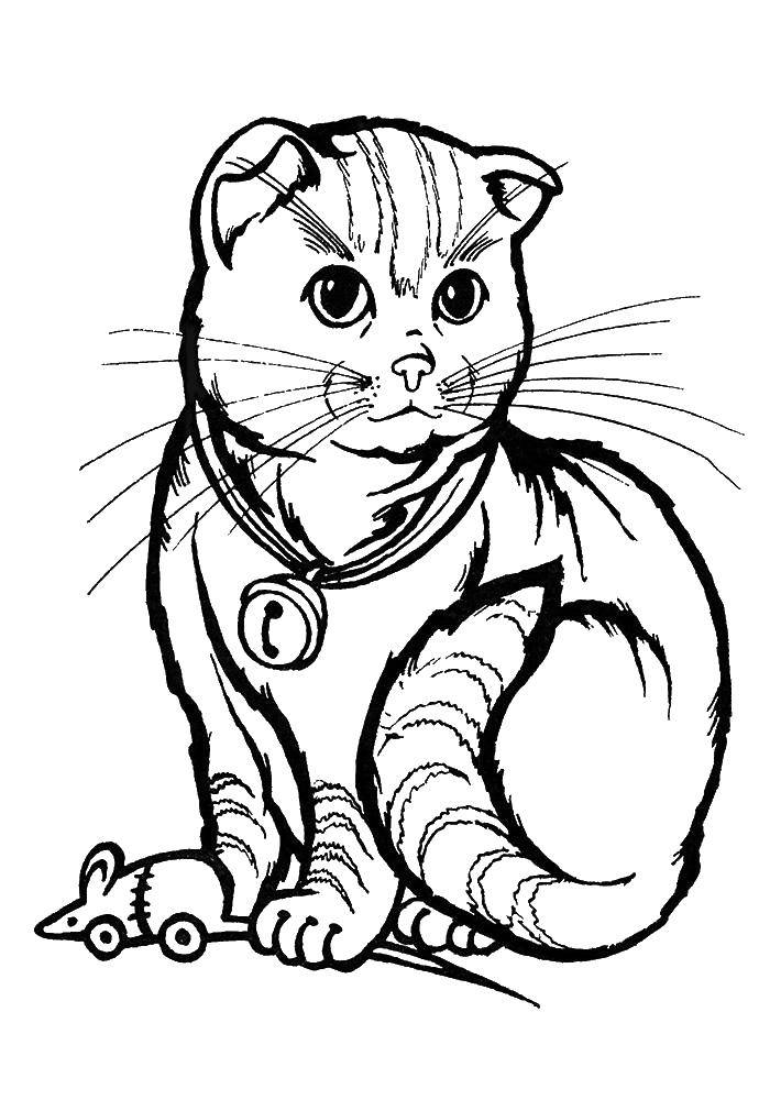 Название: Раскраска Кот поймал игрушечную мышку. Категория: котята и щенки. Теги: кот, мылка.