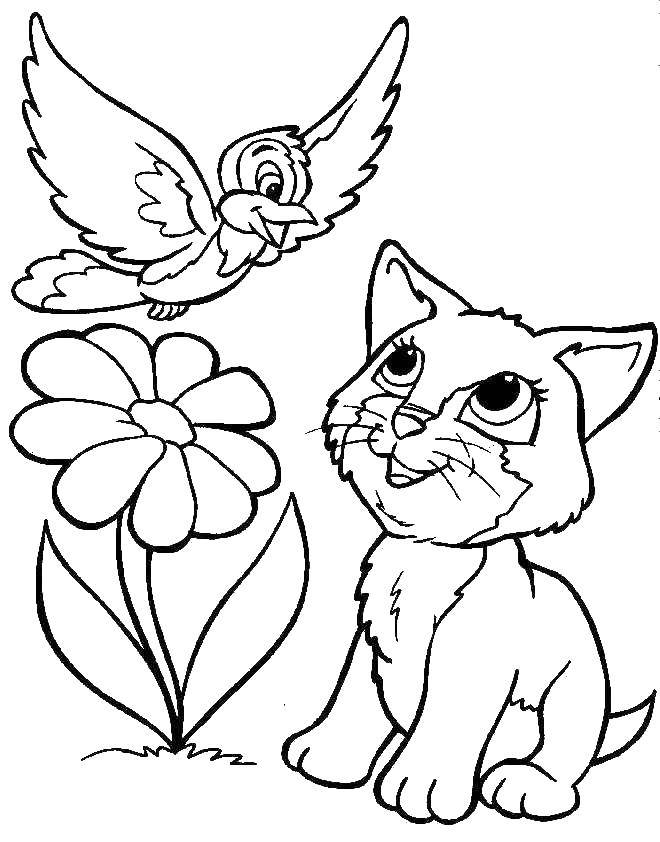 Название: Раскраска Кот смотрит на птицу. Категория: милые животные. Теги: цветок, птица, кот.