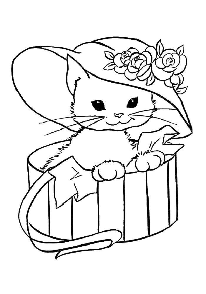 Название: Раскраска Кот в шляпке с цветами в лукошке. Категория: котята и щенки. Теги: кот, лукошко, шляпка.